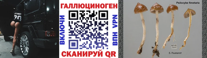 Галлюциногенные грибы мицелий  цены   Малоархангельск 